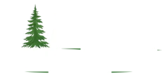 Westwood Arborists