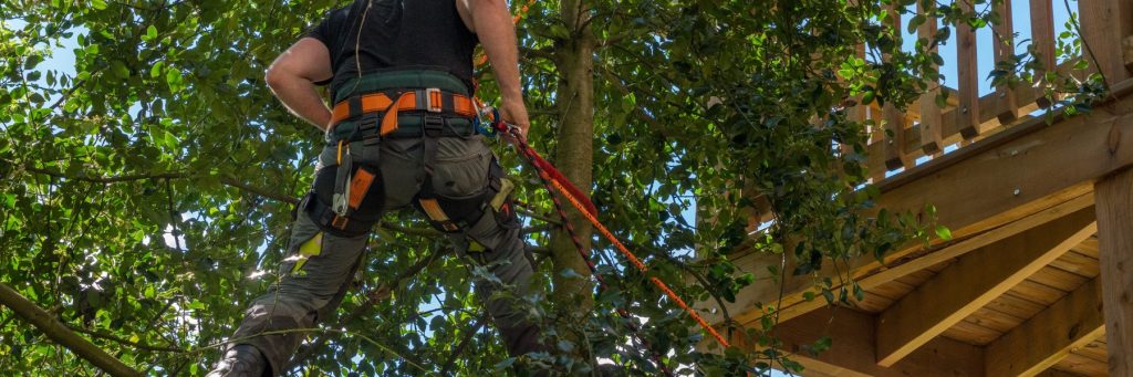 Tree services in Boise, ID