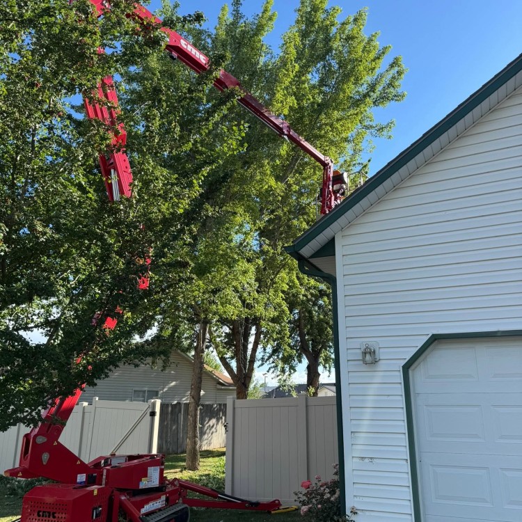 Tree services in Boise, ID