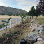Tree services in Boise, ID