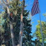 Tree services in Boise, ID