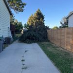 Tree services in Boise, ID