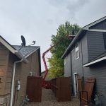 Tree services in Boise, ID