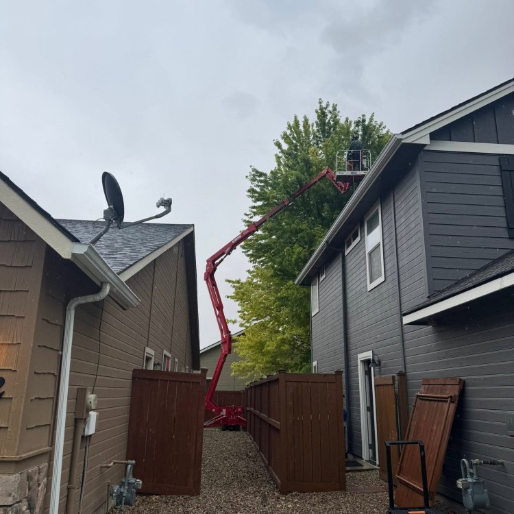 Tree services in Boise, ID